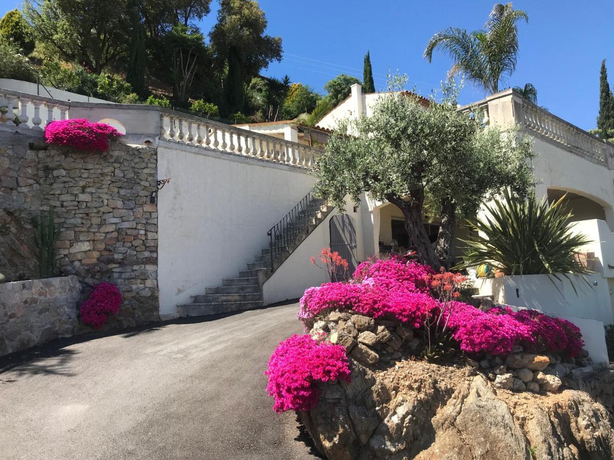 3 Bedrooms Villa Near Cannes - Pool & Jacuzzi - Sea View Mandelieu Eksteriør billede