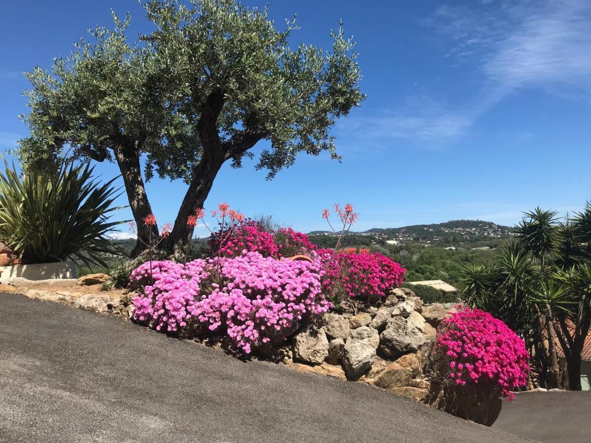 3 Bedrooms Villa Near Cannes - Pool & Jacuzzi - Sea View Mandelieu Eksteriør billede